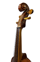 Barokna Violina 1 Vrat